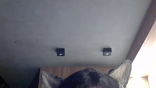 Skinny-Kitten online show from 02-04-26, 11:53