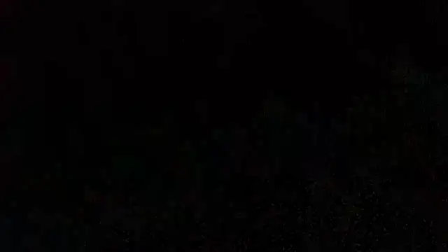 Liza Rosa online show from 01-21-25, 02:48