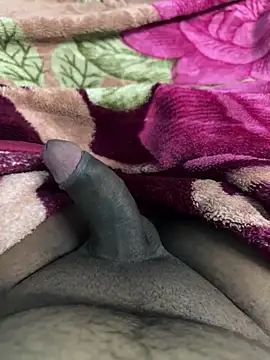 Honeydick7 online show from 11-04-25, 06:07