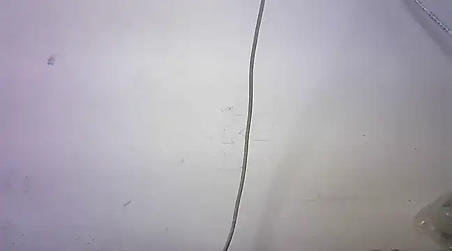 mrose8080 online show from 03-06-25, 02:08