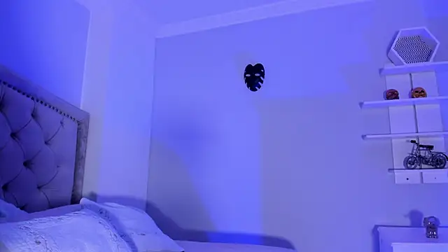 CamileHolmes online show from 02-13-25, 08:17