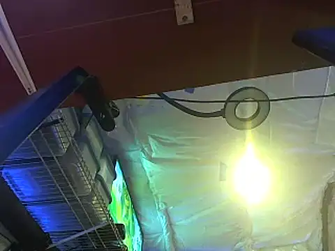 Snapshot of CloudDadddyyy420 chatting on 10-15-25, 10:43 CloudDadddyyy420 online show from 10-15-25, 10:43