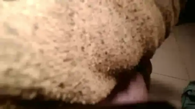 Dan3106x online show from 03-19-26, 07:07