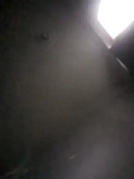 kevin613603 online show from 02-01-26, 10:47