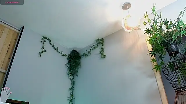 VickyJackson  online show from 01-21-25, 07:50