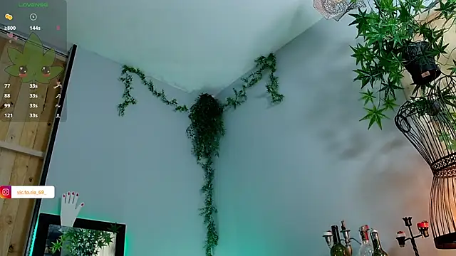 VickyJackson  online show from 01-25-25, 08:00