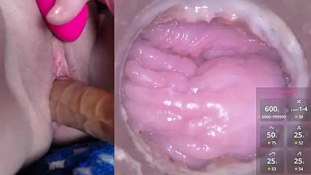 danigirl866 online show from 12-12-24, 05:59