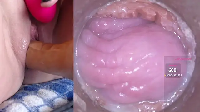 danigirl866 online show from 03-05-25, 06:12