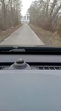 ichgross online show from 02-10-25, 02:37