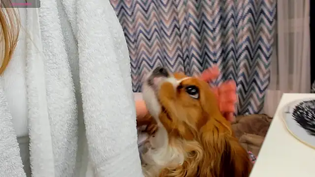 Peggy Beauty online show from 01-15-25, 12:19