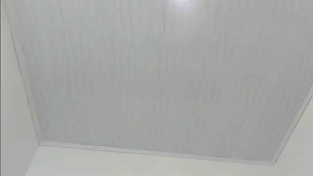 merlyna goldens online show from 11-22-25, 11:31