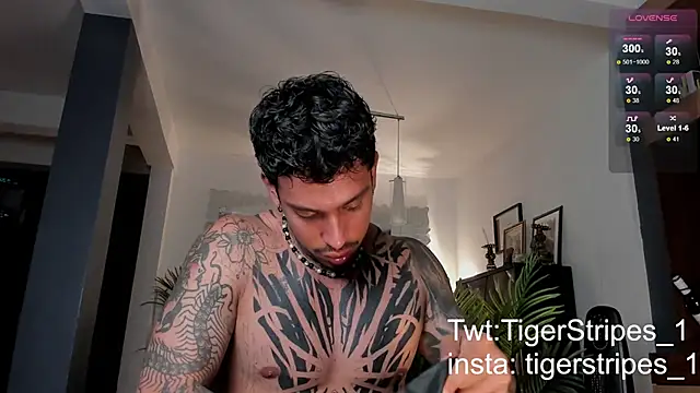 TigerStripes1  online show from 02-28-25, 12:43