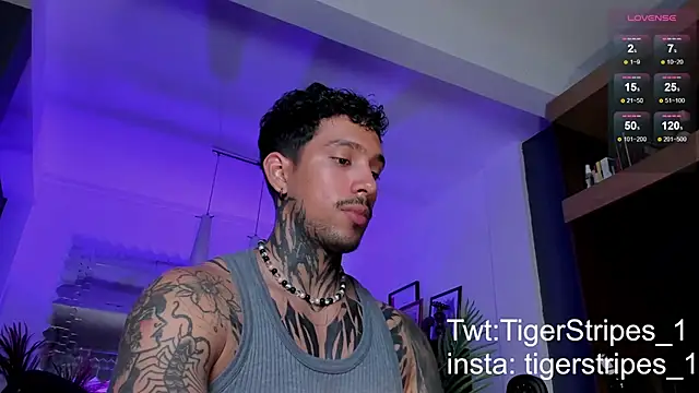 TigerStripes1  online show from 03-02-25, 01:47