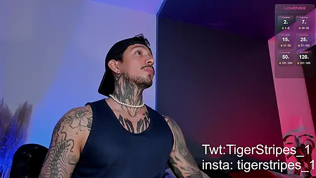 TigerStripes1  online show from 03-15-25, 12:25