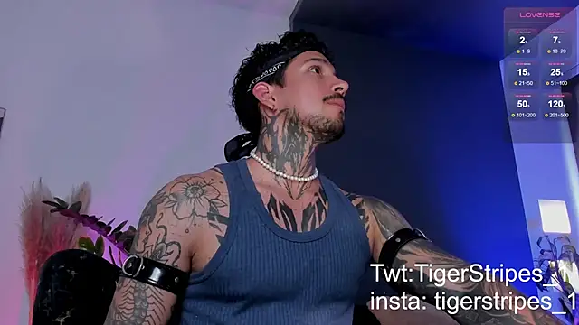 TigerStripes1  online show from 03-19-25, 08:54