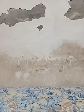 09punjabi online show from 10-27-25, 11:03