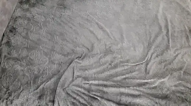 lili 70 online show from 12-29-24, 05:54