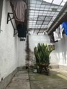 oliver price1 online show from 09-15-25, 03:23