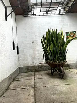 oliver price1 online show from 10-21-25, 03:13