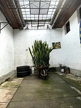 oliver price1 online show from 10-27-25, 07:18