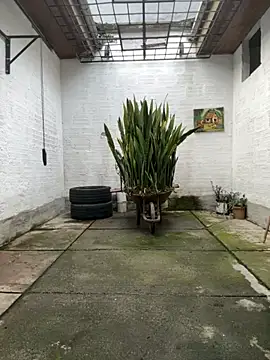 oliver price1 online show from 11-12-25, 09:14