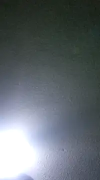 Snapshot of Elcogetuquieres chatting on 01-08-25, 05:16 Elcogetuquieres online show from 01-08-25, 05:16