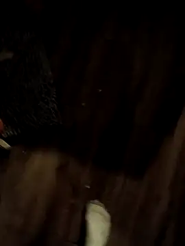 Snapshot of Donglong80 chatting on 11-17-25, 11:16 Donglong80 online show from 11-17-25, 11:16